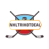 nhltrikotdeal
